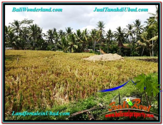 TANAH MURAH JUAL UBUD 7 Are VIEW SAWAH, LINGKUNGAN VILLA