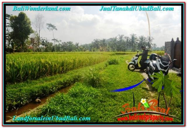 TANAH di UBUD DIJUAL MURAH 1,500 m2 di UBUD TEGALALANG