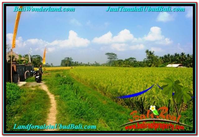 TANAH di UBUD DIJUAL MURAH 1,500 m2 di UBUD TEGALALANG