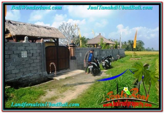 TANAH di UBUD DIJUAL MURAH 1,500 m2 di UBUD TEGALALANG