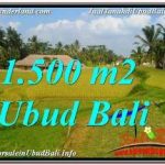 TANAH MURAH DIJUAL di UBUD BALI Untuk INVESTASI TJUB668