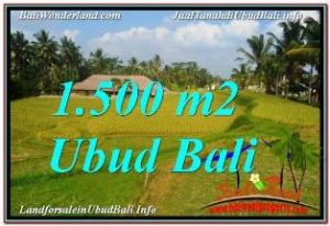 TANAH MURAH DIJUAL di UBUD BALI Untuk INVESTASI TJUB668