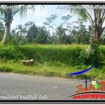 TANAH MURAH di UBUD BALI DIJUAL 1,500 m2 VIEW SAWAH, LINGKUNGAN VILLA