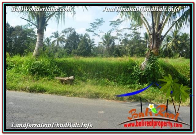 TANAH MURAH di UBUD BALI DIJUAL 1,500 m2 VIEW SAWAH, LINGKUNGAN VILLA