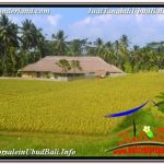 TANAH MURAH di UBUD BALI DIJUAL 1,500 m2 VIEW SAWAH, LINGKUNGAN VILLA