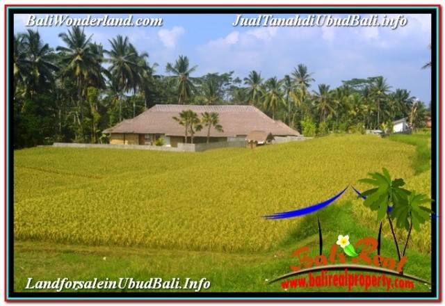 TANAH MURAH di UBUD BALI DIJUAL 1,500 m2 VIEW SAWAH, LINGKUNGAN VILLA