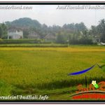 TANAH MURAH di UBUD BALI DIJUAL 1,500 m2 VIEW SAWAH, LINGKUNGAN VILLA