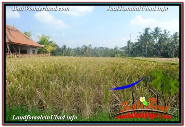 TANAH MURAH di UBUD BALI DIJUAL Untuk INVESTASI TJUB669