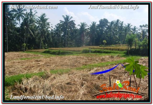 TANAH MURAH di UBUD BALI DIJUAL Untuk INVESTASI TJUB669