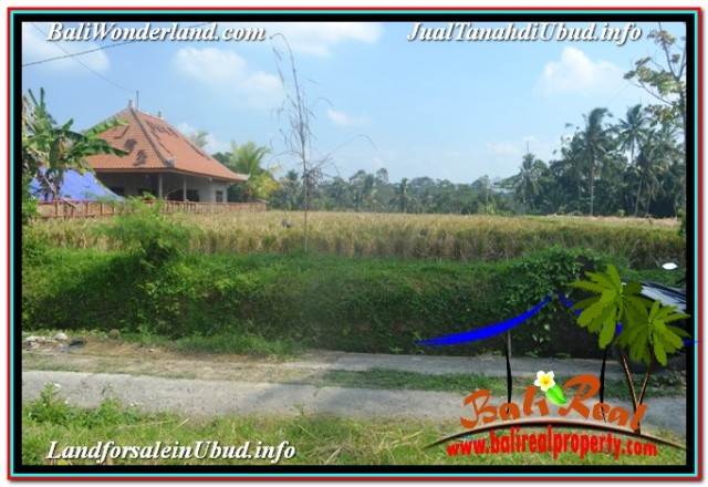 TANAH MURAH di UBUD BALI DIJUAL Untuk INVESTASI TJUB669