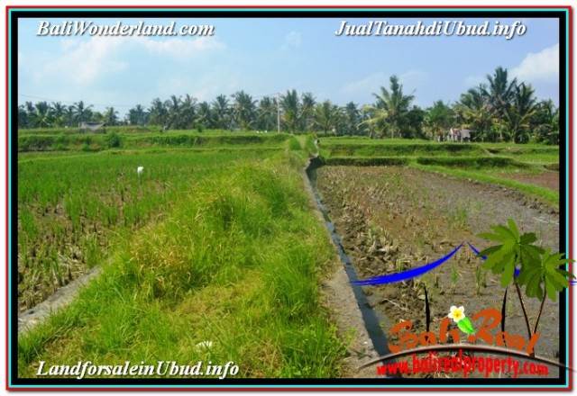 TANAH MURAH di UBUD BALI DIJUAL TJUB670