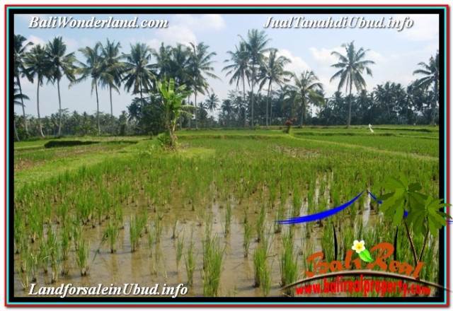 TANAH MURAH di UBUD BALI DIJUAL TJUB670