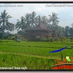 TANAH MURAH di UBUD BALI DIJUAL TJUB670