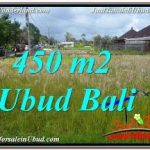 JUAL TANAH di UBUD 5 Are KAWASAN KOMERSIL