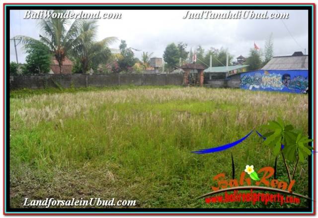 DIJUAL TANAH MURAH di UBUD BALI 5 Are di SENTRAL UBUD