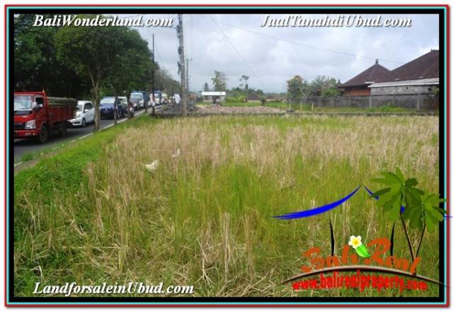 DIJUAL TANAH MURAH di UBUD BALI 5 Are di SENTRAL UBUD