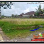 DIJUAL TANAH MURAH di UBUD BALI 5 Are di SENTRAL UBUD