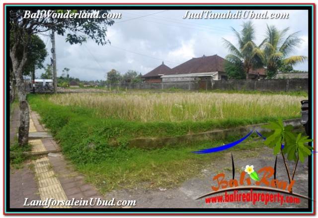 DIJUAL TANAH MURAH di UBUD BALI 5 Are di SENTRAL UBUD