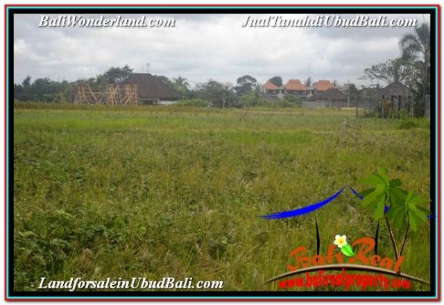 JUAL MURAH TANAH di UBUD BALI 2,994 m2 VIEW SAWAH DAN VILLA