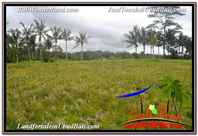 JUAL MURAH TANAH di UBUD BALI 2,994 m2 VIEW SAWAH DAN VILLA