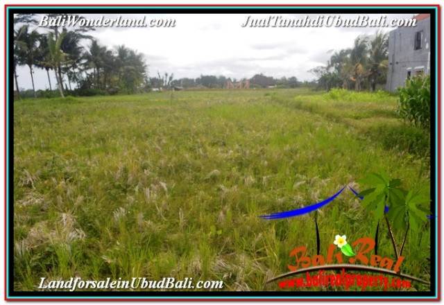 JUAL MURAH TANAH di UBUD BALI 2,994 m2 VIEW SAWAH DAN VILLA