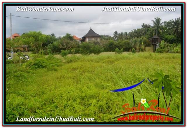 JUAL MURAH TANAH di UBUD BALI 2,994 m2 VIEW SAWAH DAN VILLA