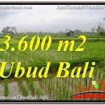 JUAL TANAH di UBUD Untuk INVESTASI TJUB673