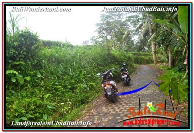 TANAH MURAH di UBUD 36 Are di UBUD TEGALALANG