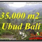 TANAH DIJUAL di UBUD 350 Are VIEW SAWAH DAN LOS SUNGAI