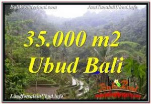 TANAH DIJUAL di UBUD 350 Are VIEW SAWAH DAN LOS SUNGAI