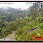 JUAL MURAH TANAH di UBUD BALI 35,000 m2 di UBUD TEGALALANG