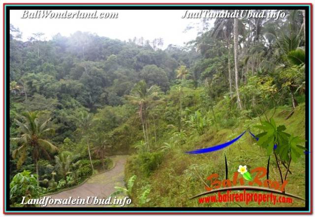 JUAL MURAH TANAH di UBUD BALI 35,000 m2 di UBUD TEGALALANG