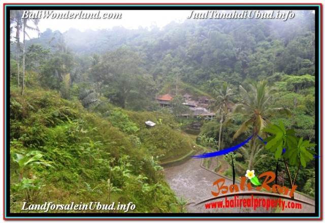 JUAL MURAH TANAH di UBUD BALI 35,000 m2 di UBUD TEGALALANG