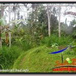 JUAL MURAH TANAH di UBUD BALI 35,000 m2 di UBUD TEGALALANG