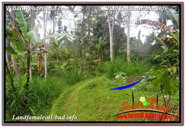 JUAL MURAH TANAH di UBUD BALI 35,000 m2 di UBUD TEGALALANG