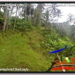 JUAL MURAH TANAH di UBUD BALI 35,000 m2 di UBUD TEGALALANG