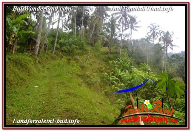 JUAL MURAH TANAH di UBUD BALI 35,000 m2 di UBUD TEGALALANG