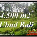 DIJUAL TANAH MURAH di UBUD BALI Untuk INVESTASI TJUB675