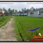 JUAL TANAH MURAH di UBUD 4,500 m2 VIEW LINGKUNGAN VILLA