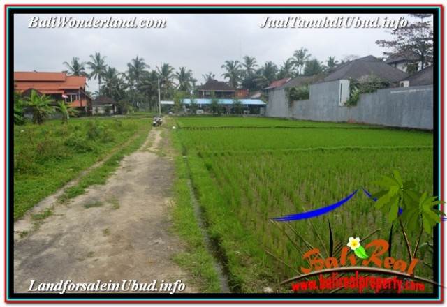 JUAL TANAH MURAH di UBUD 4,500 m2 VIEW LINGKUNGAN VILLA