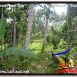 JUAL TANAH MURAH di UBUD 4,500 m2 VIEW LINGKUNGAN VILLA