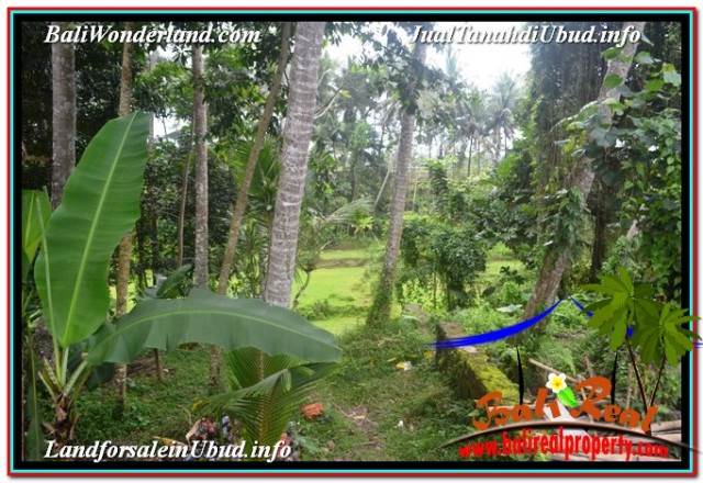 JUAL TANAH MURAH di UBUD 4,500 m2 VIEW LINGKUNGAN VILLA