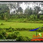 JUAL TANAH MURAH di UBUD 4,500 m2 VIEW LINGKUNGAN VILLA