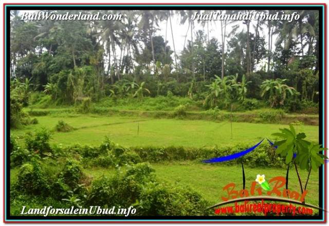 JUAL TANAH MURAH di UBUD 4,500 m2 VIEW LINGKUNGAN VILLA