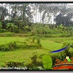 JUAL TANAH MURAH di UBUD 4,500 m2 VIEW LINGKUNGAN VILLA