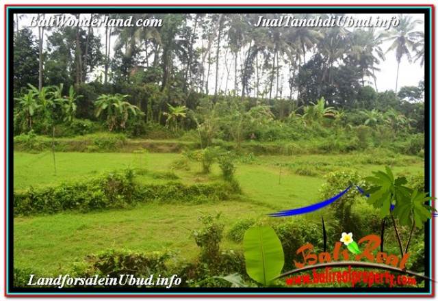 JUAL TANAH MURAH di UBUD 4,500 m2 VIEW LINGKUNGAN VILLA