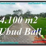 TANAH di UBUD BALI DIJUAL 41 Are di SENTRAL UBUD