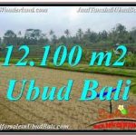 TANAH DIJUAL di UBUD 12,100 m2 di UBUD PAYANGAN