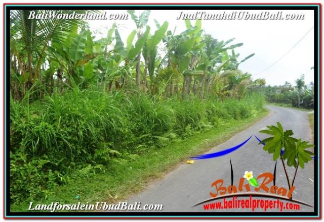 INVESTASI PROPERTY, TANAH DIJUAL MURAH di UBUD BALI TJUB677