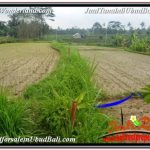 INVESTASI PROPERTY, TANAH DIJUAL MURAH di UBUD BALI TJUB677